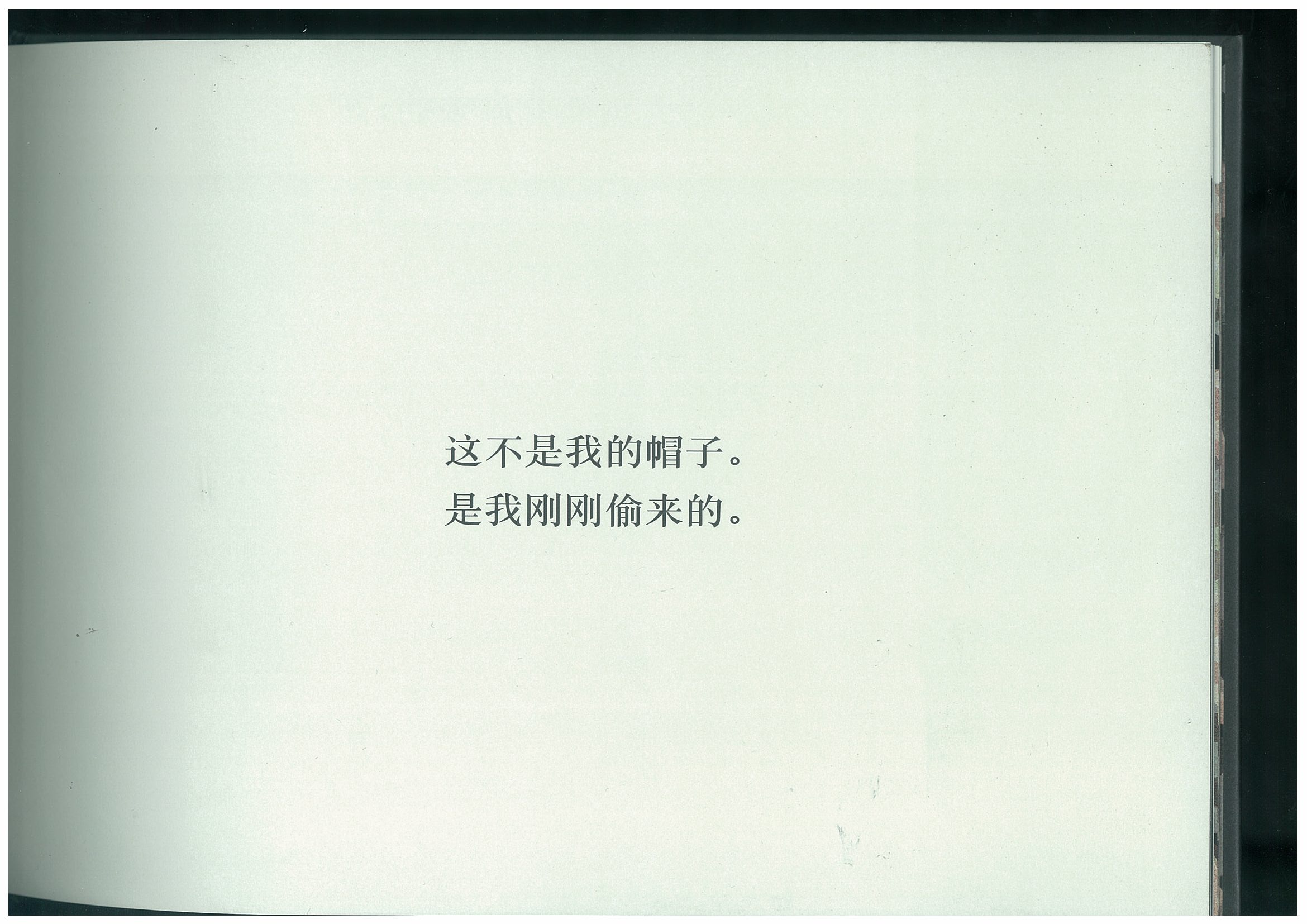 这不是我的帽子 (07),绘本,绘本故事,绘本阅读,故事书,童书,图画书,课外阅读